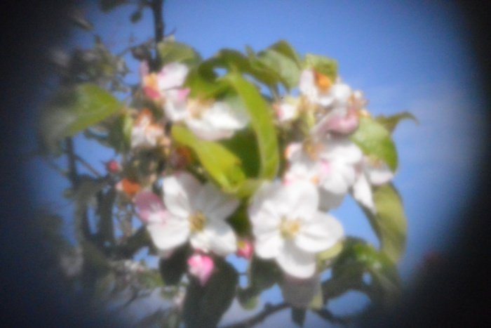 pinhole photograph