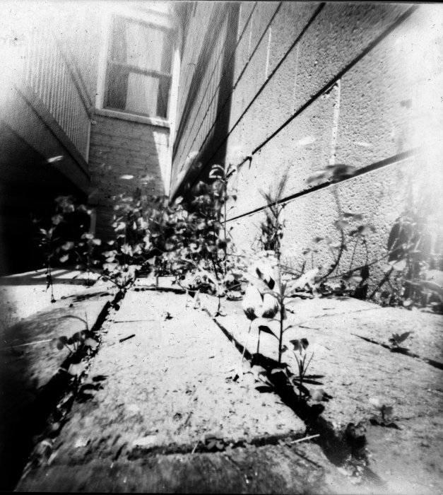 pinhole photograph
