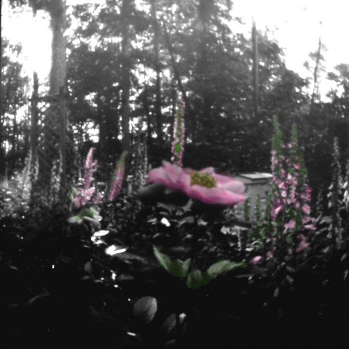 pinhole photograph