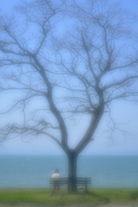 pinhole photograph