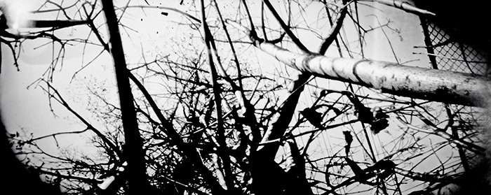 pinhole photograph