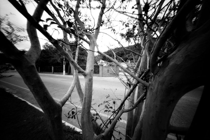 pinhole photograph