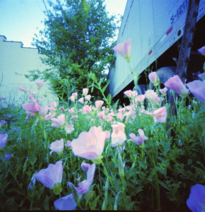 pinhole photograph