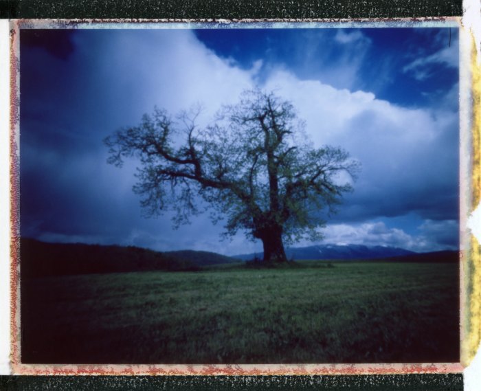 pinhole photograph