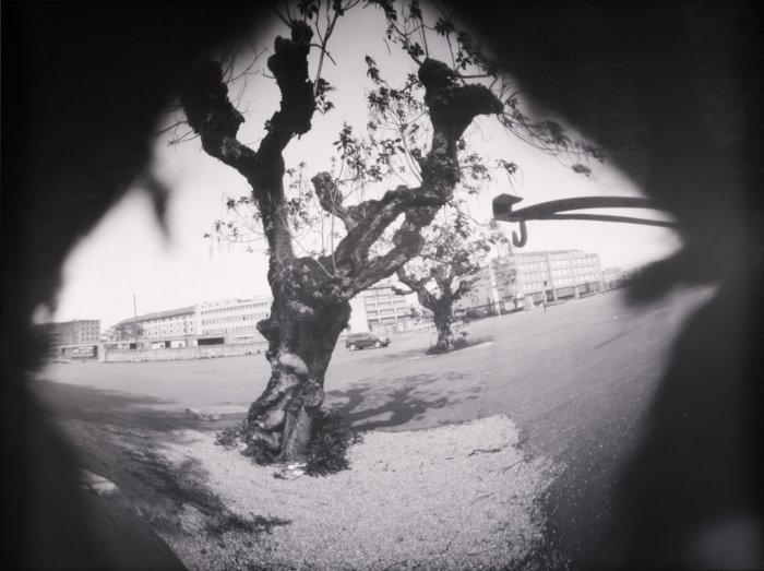 pinhole photograph
