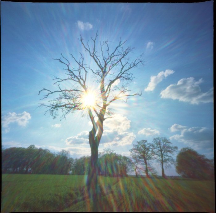pinhole photograph