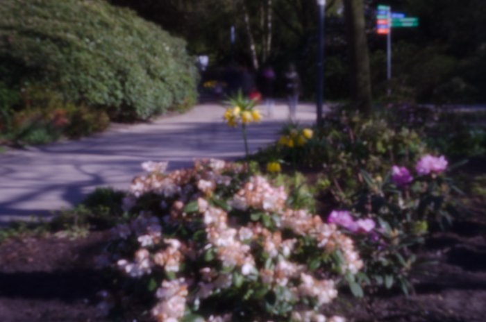 pinhole photograph