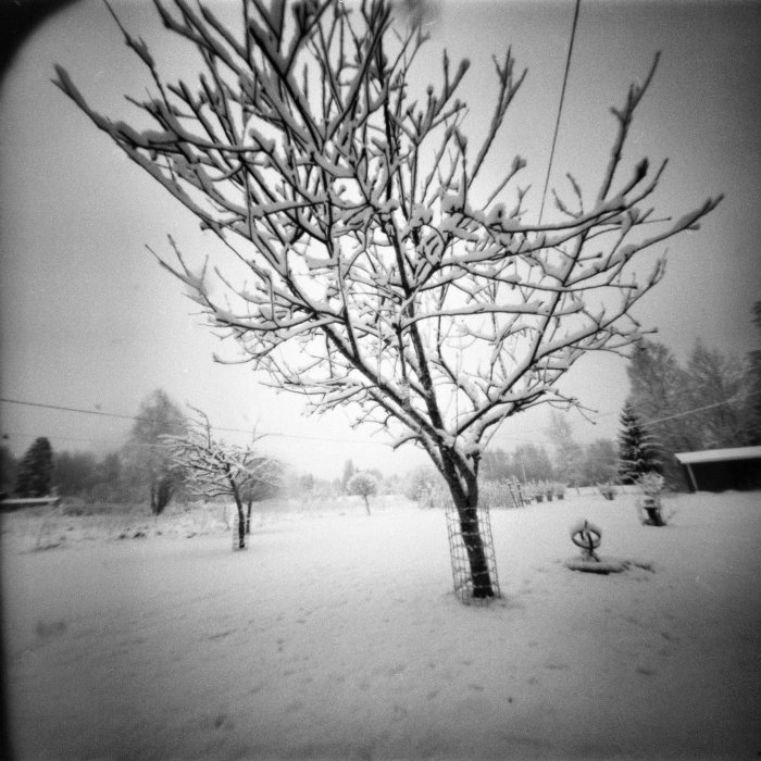 pinhole photograph