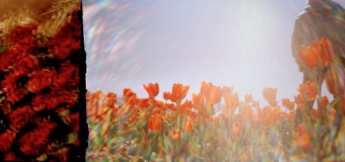 pinhole photograph
