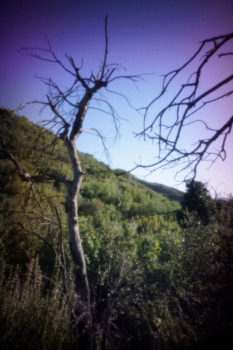 pinhole photograph