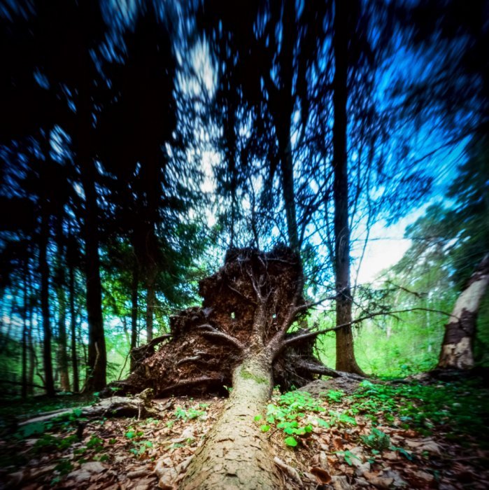 pinhole photograph