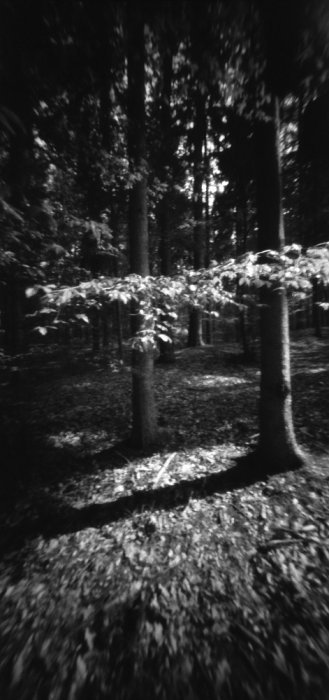 pinhole photograph