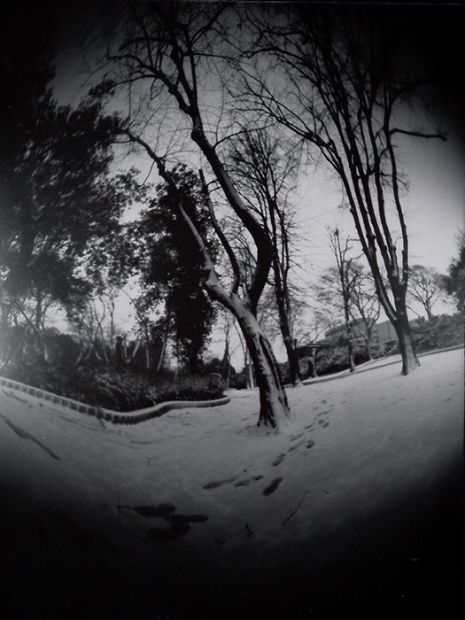 pinhole photograph