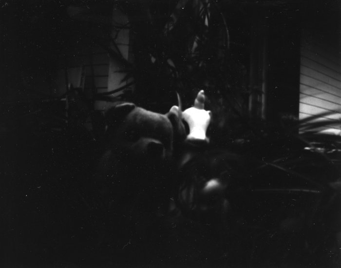 pinhole photograph