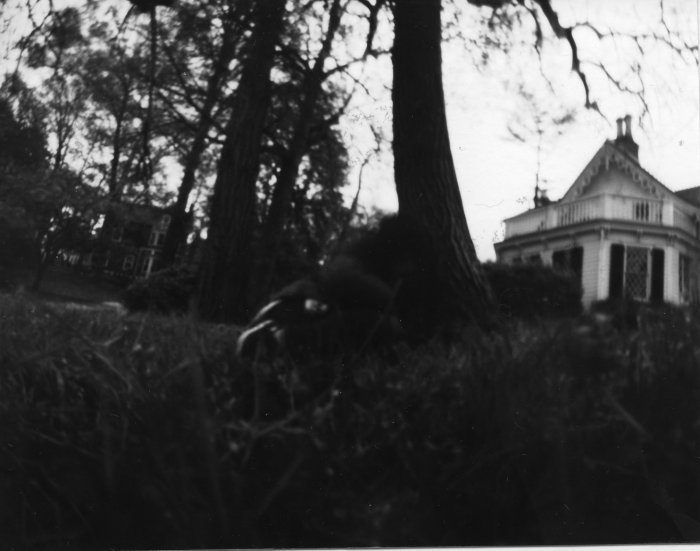 pinhole photograph