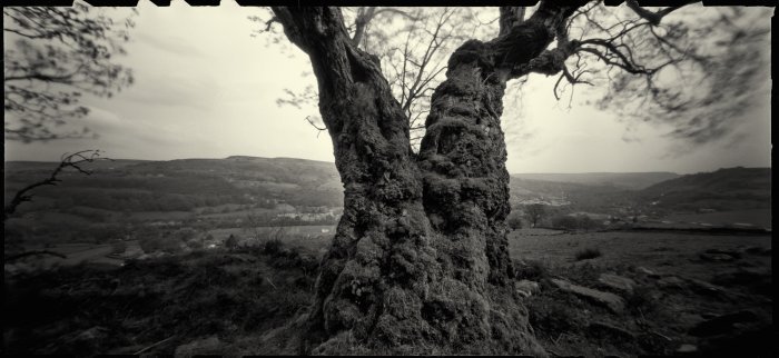 pinhole photograph