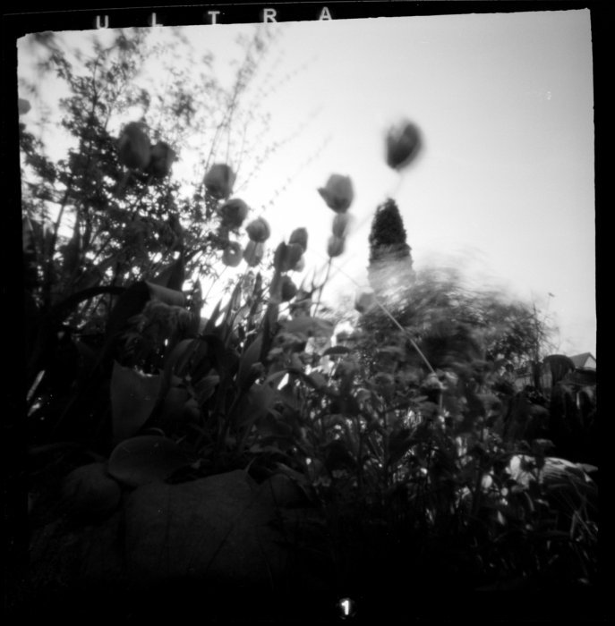 pinhole photograph