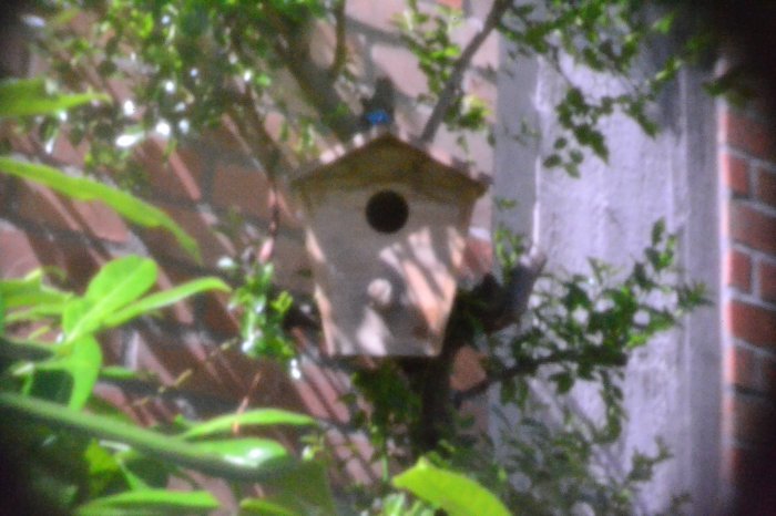 pinhole photograph