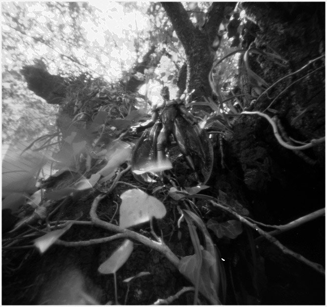 pinhole photograph
