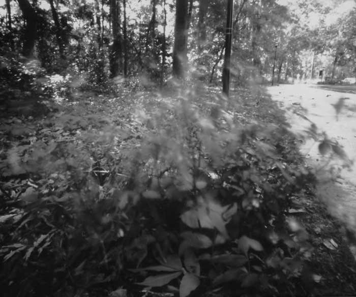 pinhole photograph
