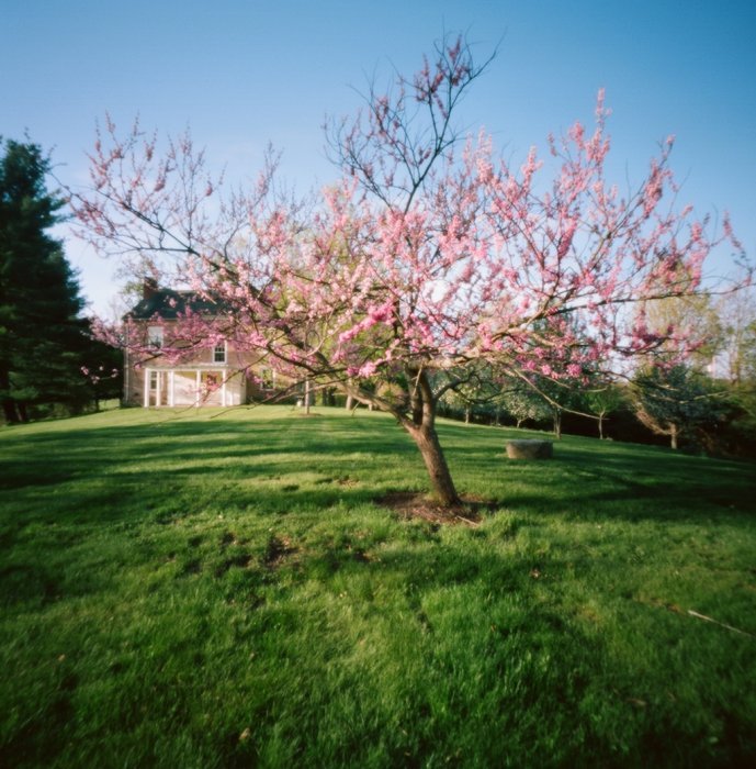 pinhole photograph