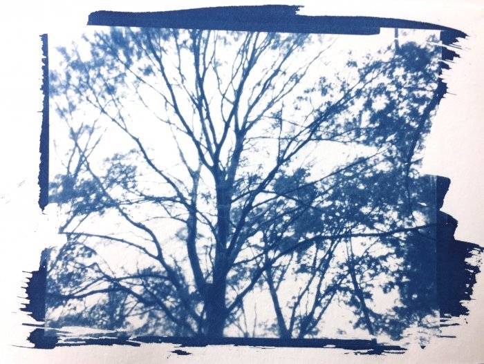 pinhole photograph