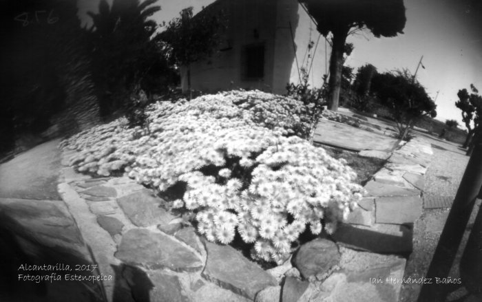 pinhole photograph