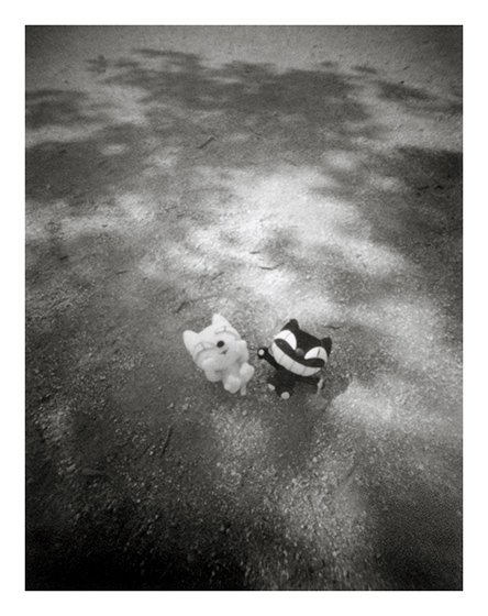 pinhole photograph