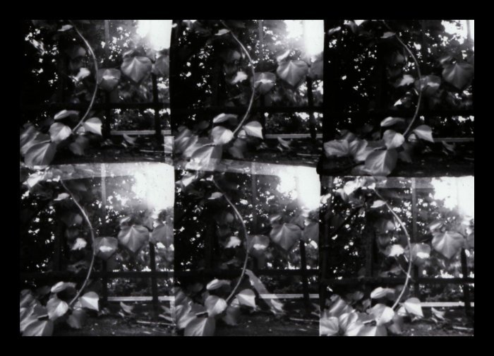 pinhole photograph