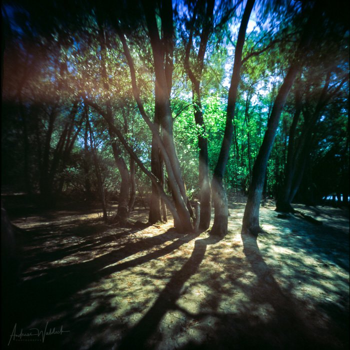 pinhole photograph