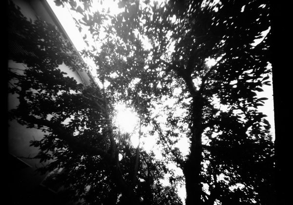 pinhole photograph