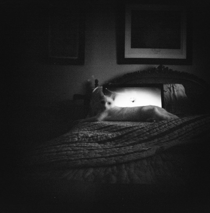 pinhole photograph