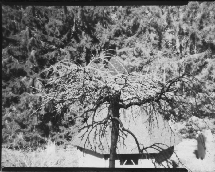 pinhole photograph