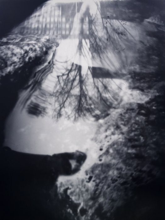 pinhole photograph