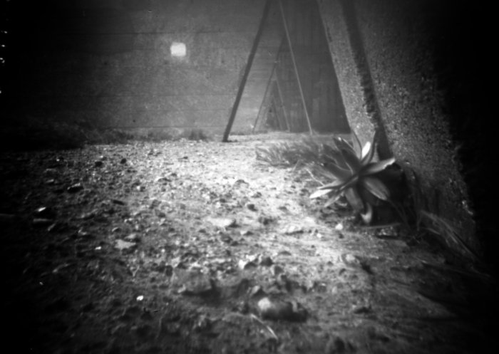 pinhole photograph