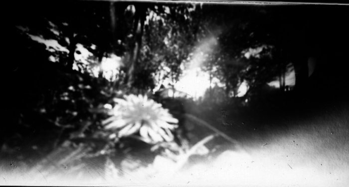 pinhole photograph
