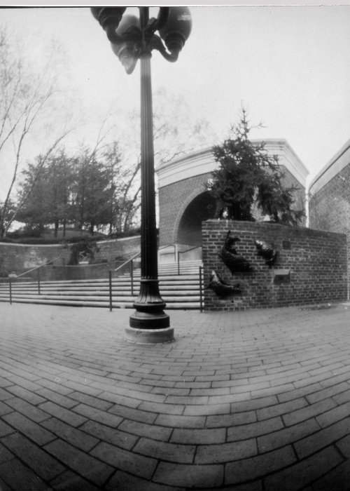 pinhole photograph