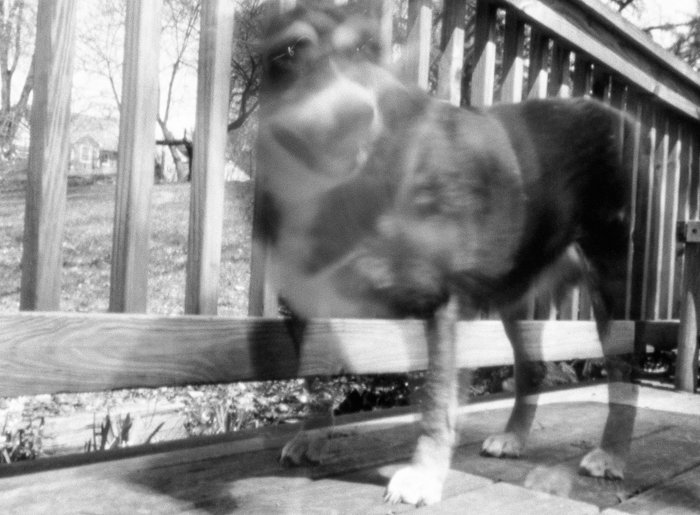pinhole photograph