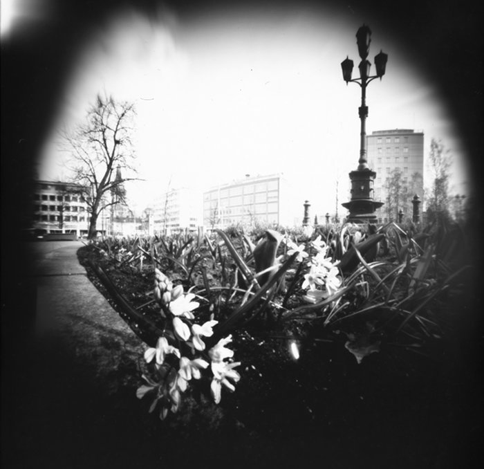 pinhole photograph