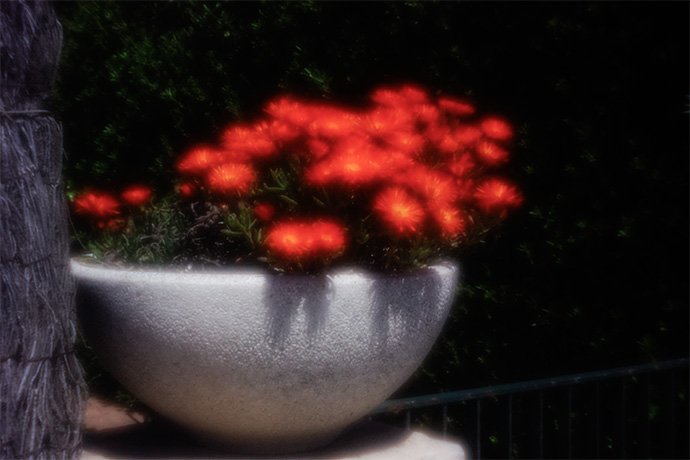 pinhole photograph