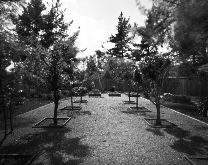 pinhole photograph