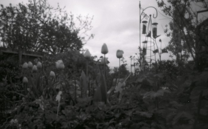 pinhole photograph