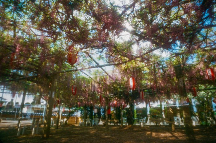 pinhole photograph