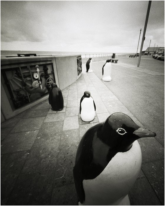 pinhole photograph