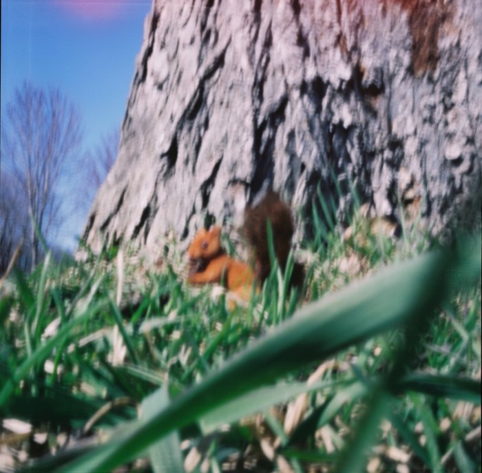 pinhole photograph