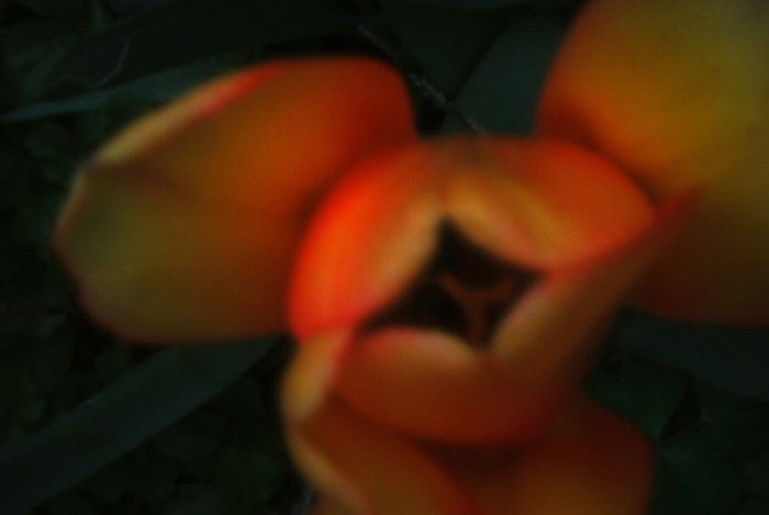 pinhole photograph