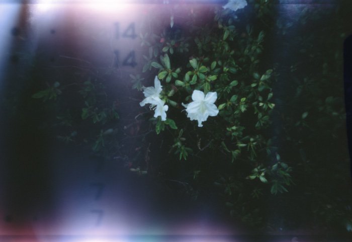 pinhole photograph