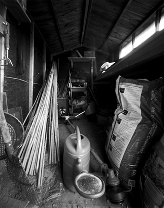 pinhole photograph