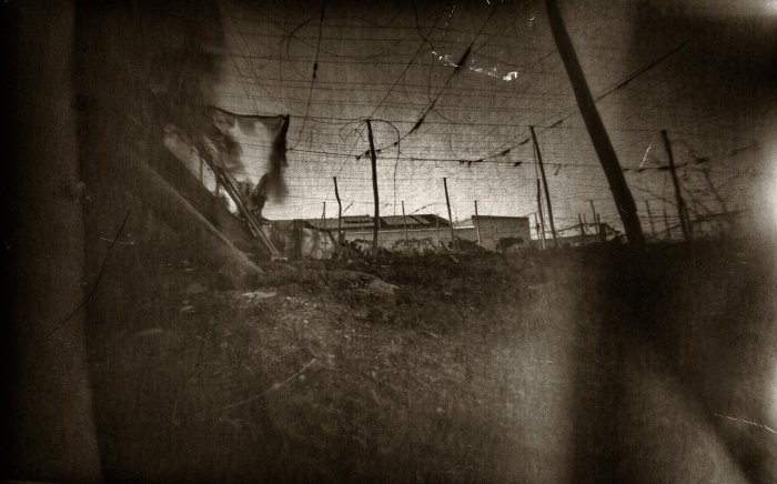 pinhole photograph