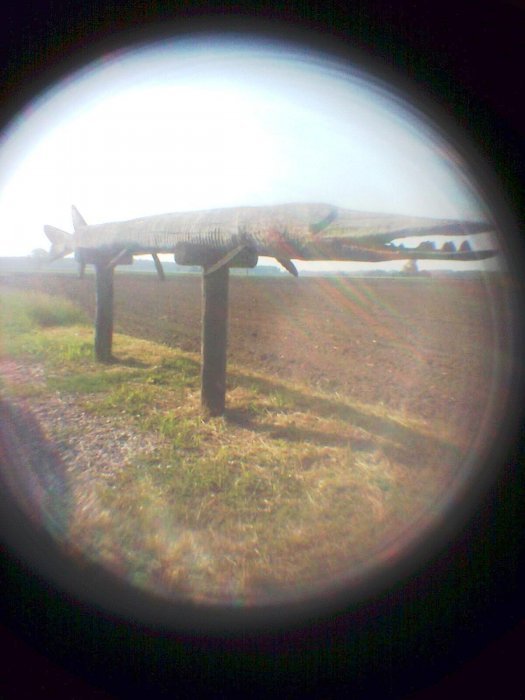 pinhole photograph